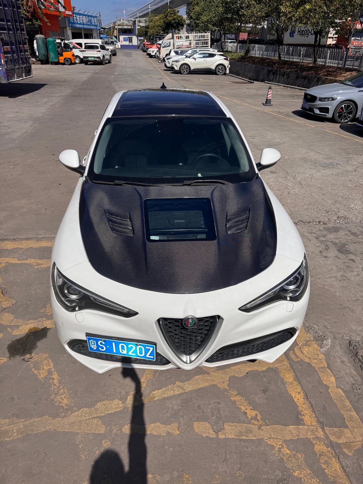 Alfa Romeo Stelvio Show Style Carbon Fiber Hood
