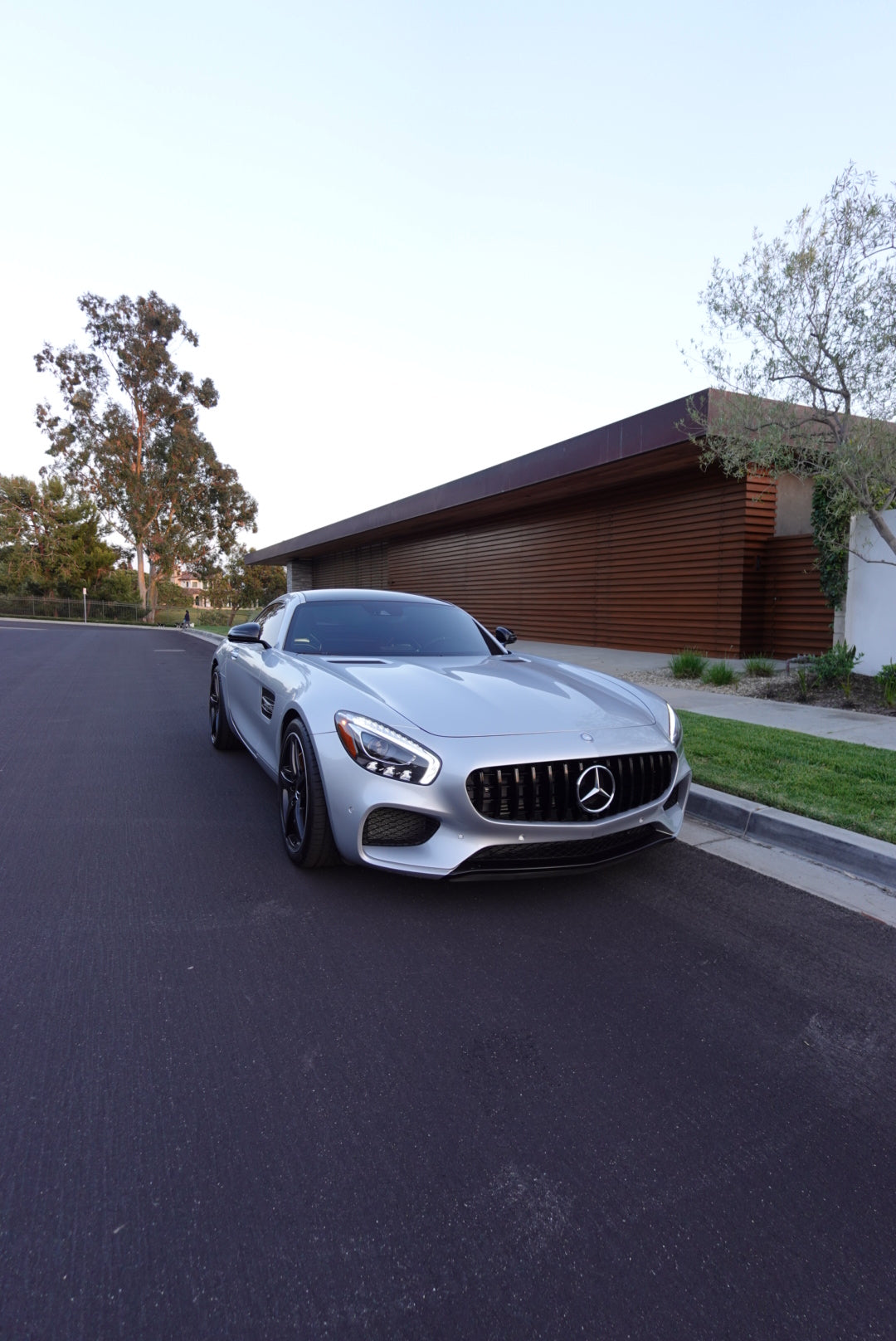 Mercedes AMG GT / GTS / GTC Black GTR Style Front Grille