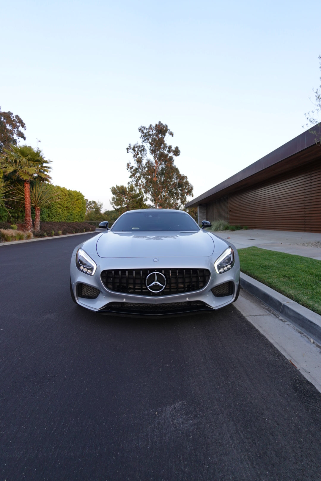 Mercedes AMG GT / GTS / GTC Black GTR Style Front Grille