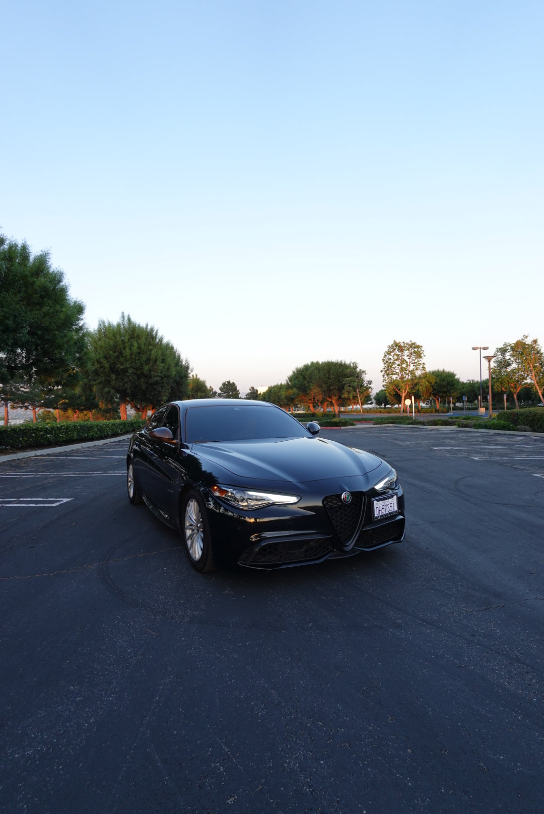 Alfa Romeo Giulia Carbon Fiber Canards