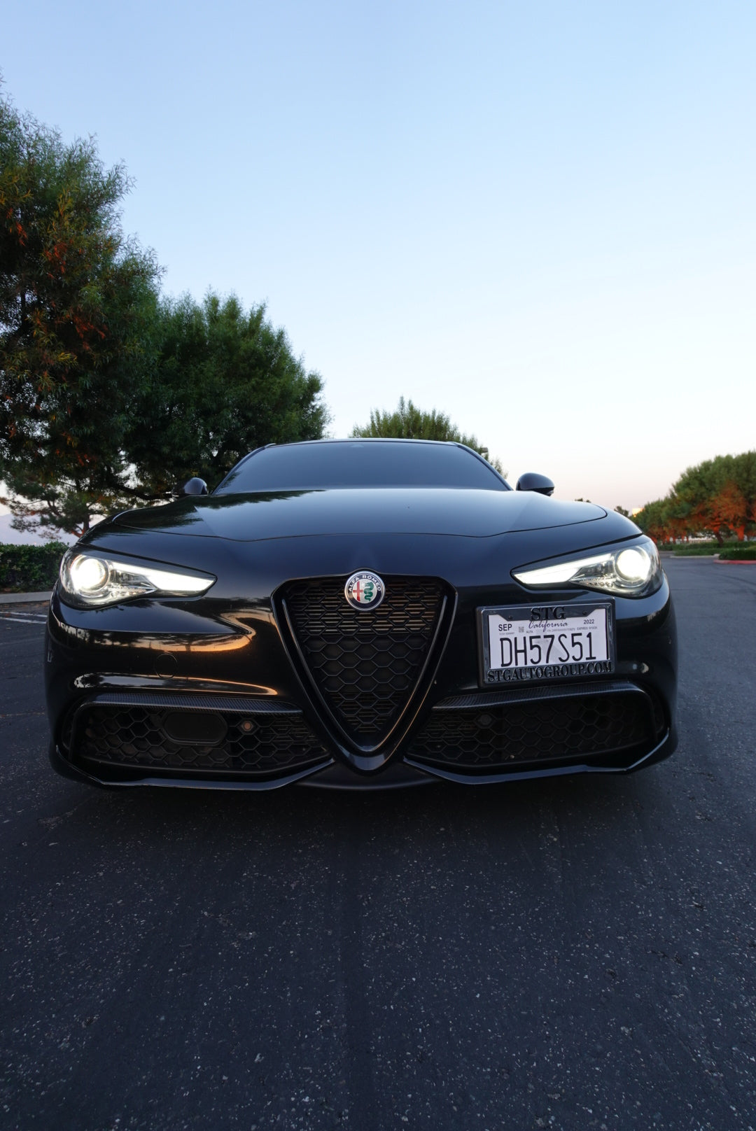 Alfa Romeo Giulia Carbon Fiber Canards