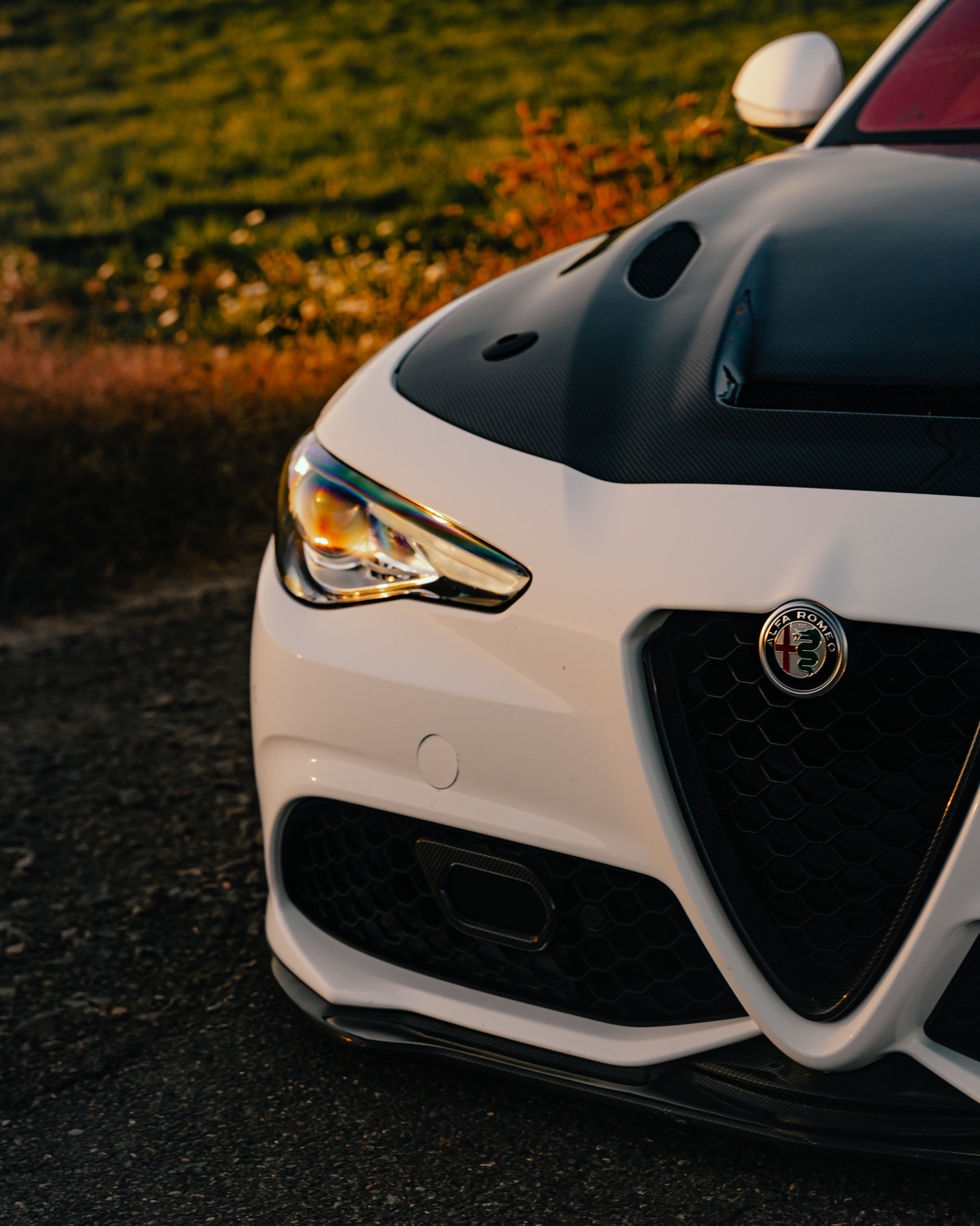 Alfa Romeo Giulia Carbon Fiber V-Grill