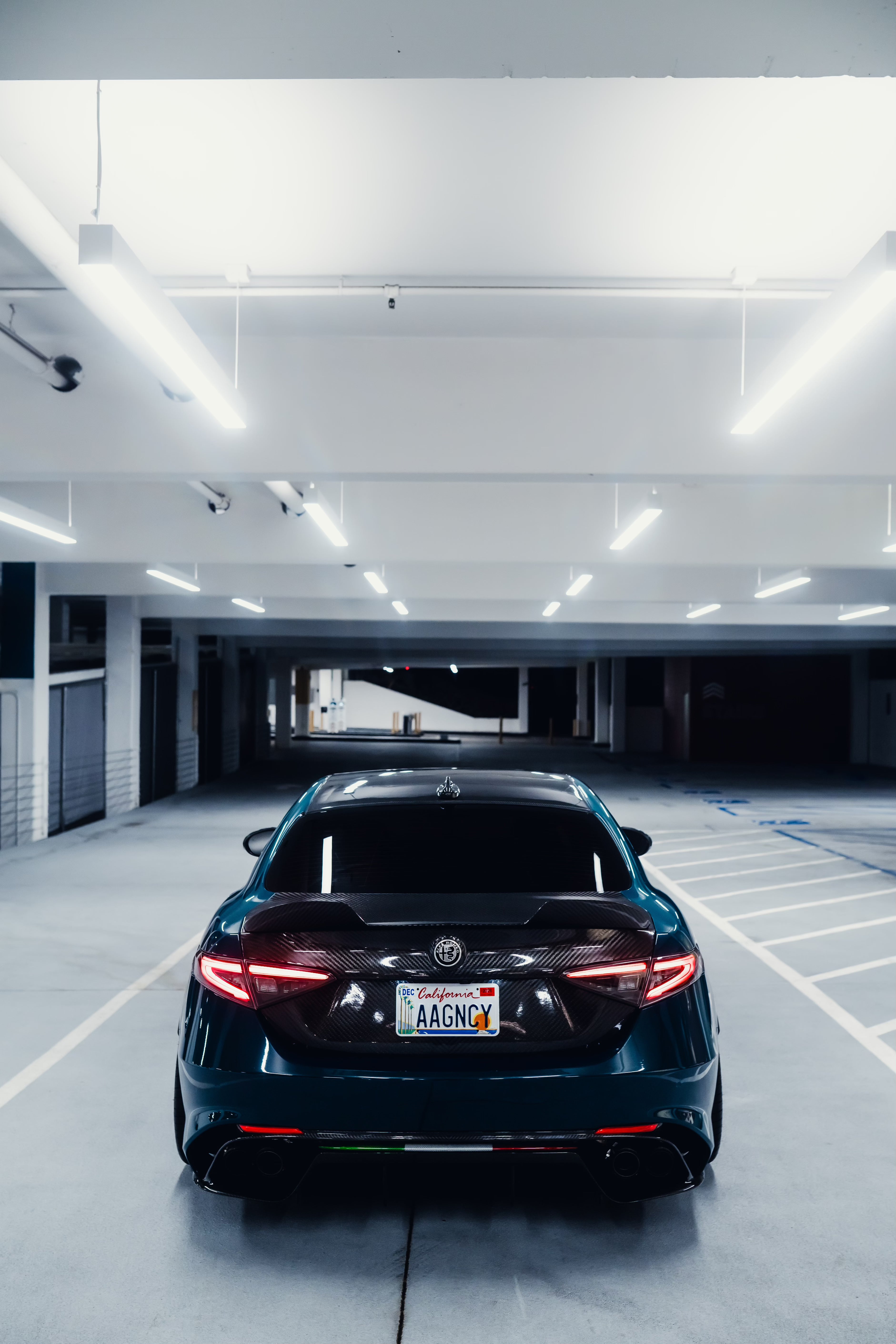 Alfa Romeo Giulia Italian Carbon Fiber Diffuser Trim