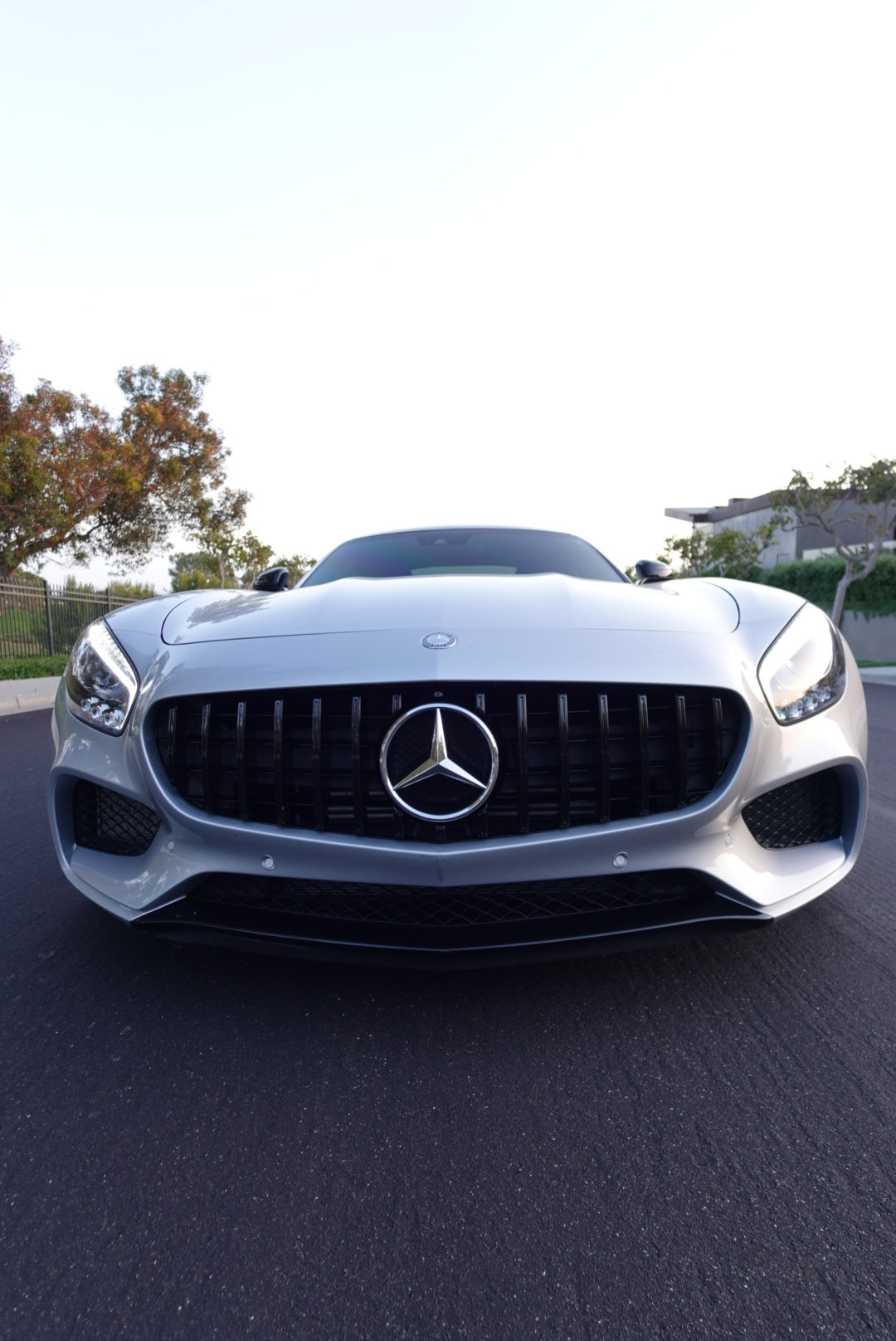 Mercedes AMG GT / GTS / GTC Black GTR Style Front Grille