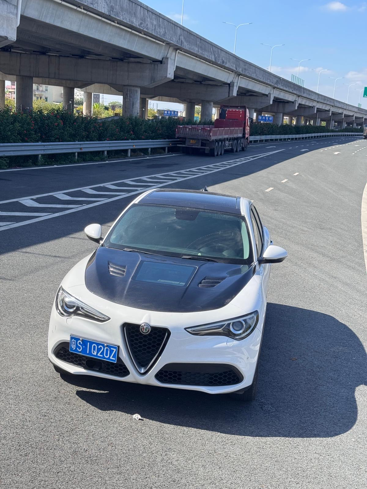 Alfa Romeo Stelvio Show Style Carbon Fiber Hood