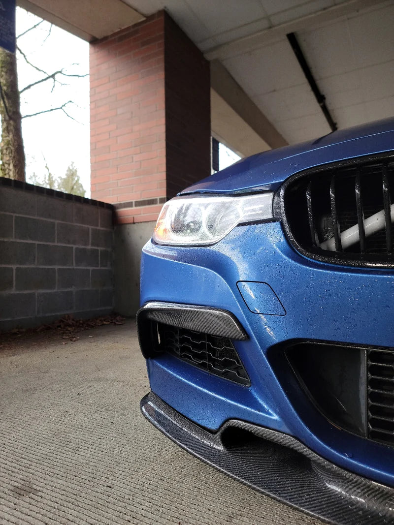 BMW Carbon Fiber Upper Fangs - F30 3-Series