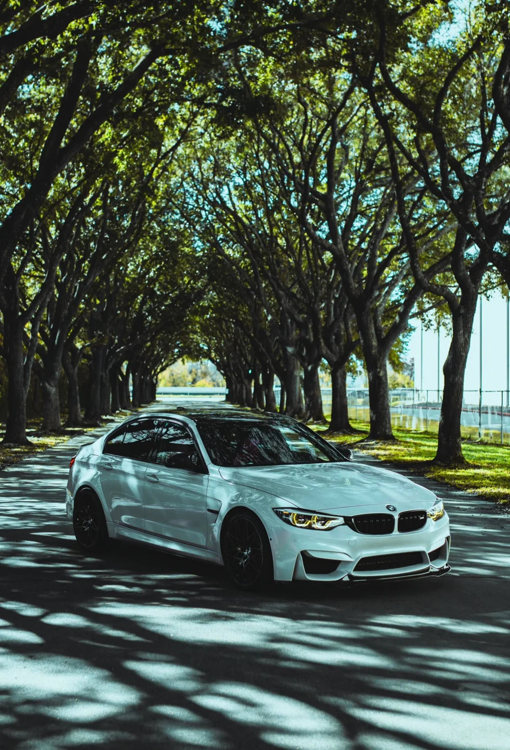 BMW CSL Style Yellow DRL Module - F80 M3 / F82/83 M4