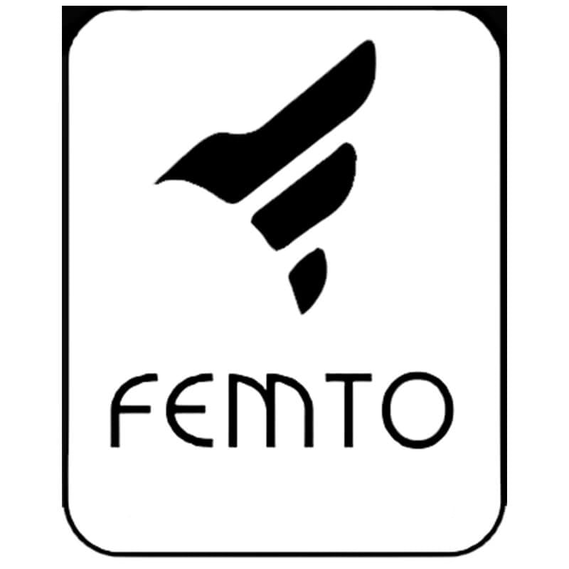 BMW FEMTO DME Unlock Service – 06/2020+ Models