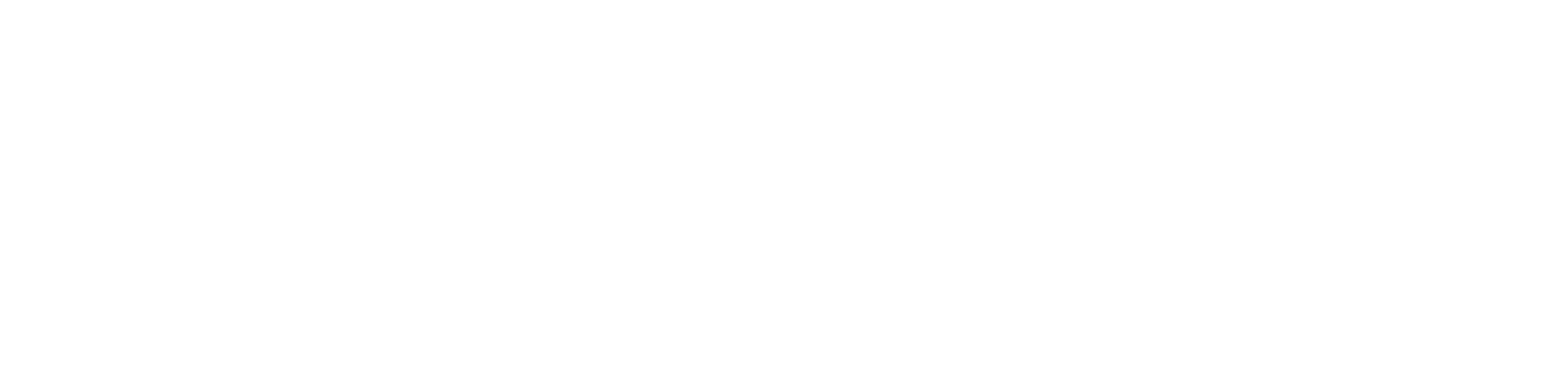 Agency Autoworks