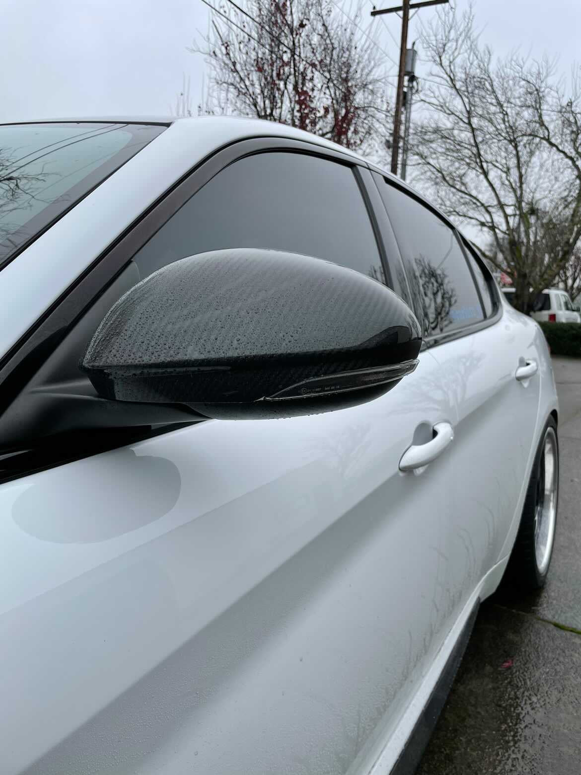 Alfa Romeo Giulia Carbon Fiber Mirror Caps Agency Autoworks